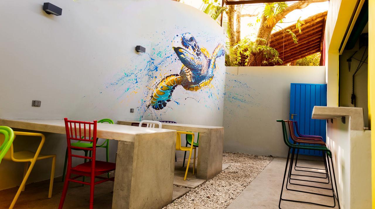 Hostel Frente Al Mar Tropico 20º Κοζουμέλ Εξωτερικό φωτογραφία