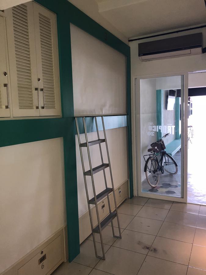 Hostel Frente Al Mar Tropico 20º Κοζουμέλ Εξωτερικό φωτογραφία